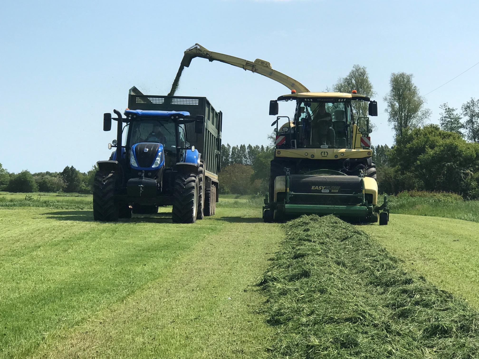 grass picked up by machines