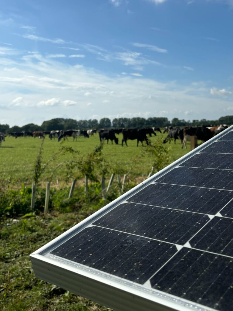 solar panel in field